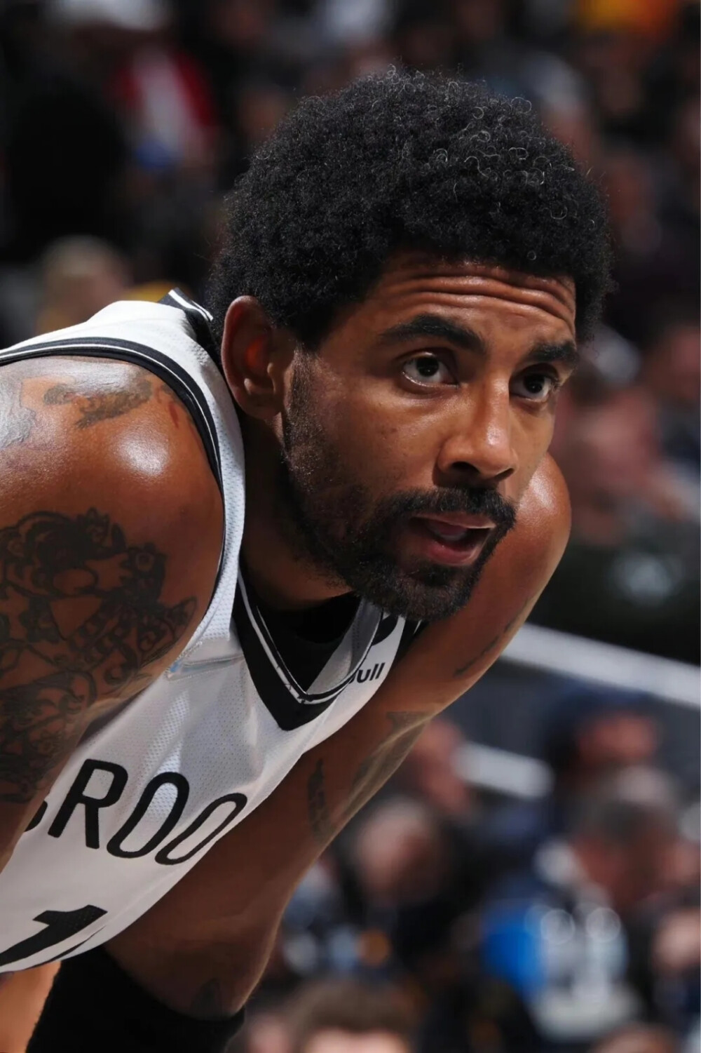 已不再是单 已不再是单